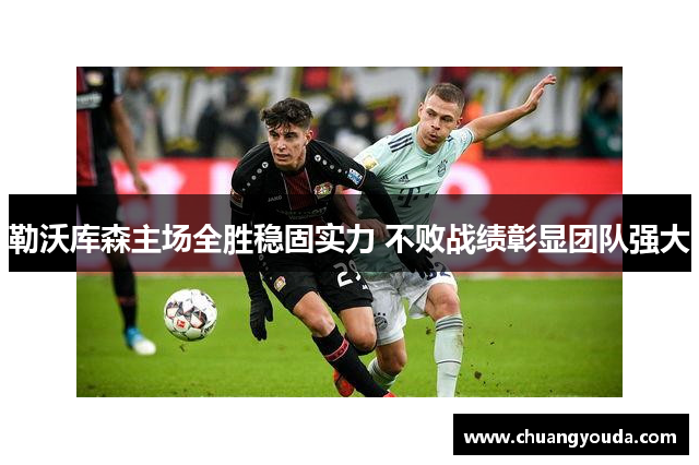勒沃库森主场全胜稳固实力 不败战绩彰显团队强大