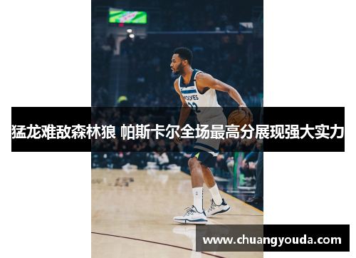 猛龙难敌森林狼 帕斯卡尔全场最高分展现强大实力