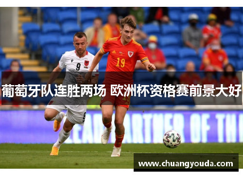 葡萄牙队连胜两场 欧洲杯资格赛前景大好