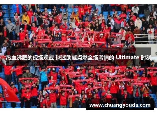 热血沸腾的现场观战 球迷助威点燃全场激情的 Ultimate 时刻