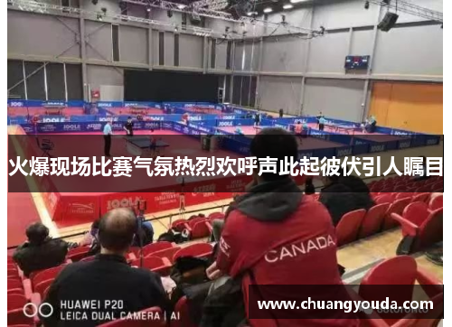 火爆现场比赛气氛热烈欢呼声此起彼伏引人瞩目