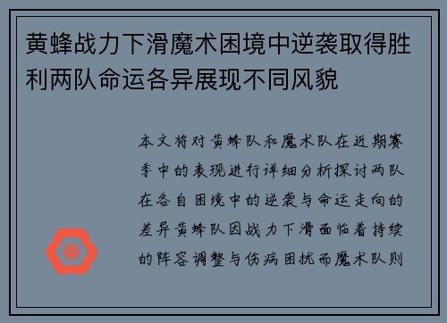 黄蜂战力下滑魔术困境中逆袭取得胜利两队命运各异展现不同风貌