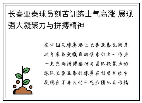 长春亚泰球员刻苦训练士气高涨 展现强大凝聚力与拼搏精神