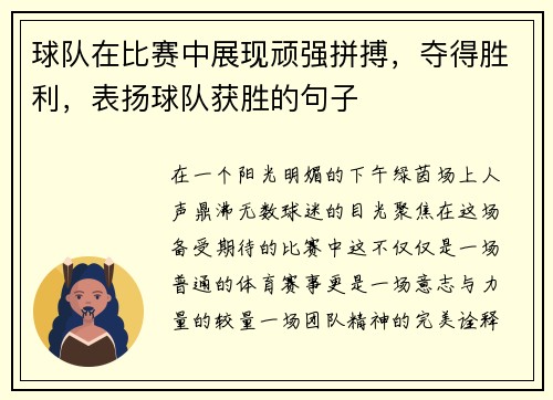 球队在比赛中展现顽强拼搏，夺得胜利，表扬球队获胜的句子