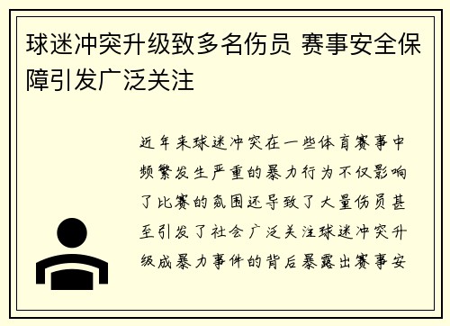 球迷冲突升级致多名伤员 赛事安全保障引发广泛关注
